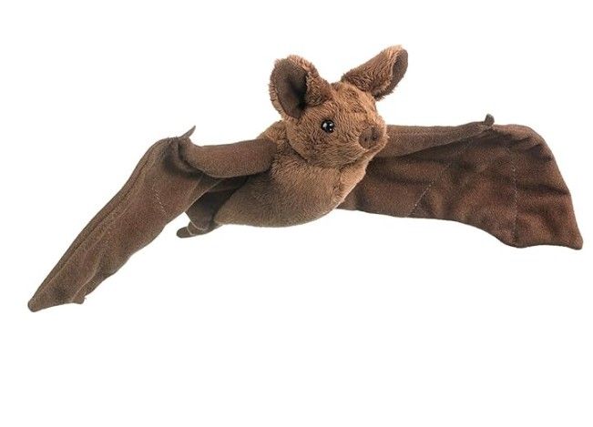 Conservation Critters Mexican Free-Tailed Bat