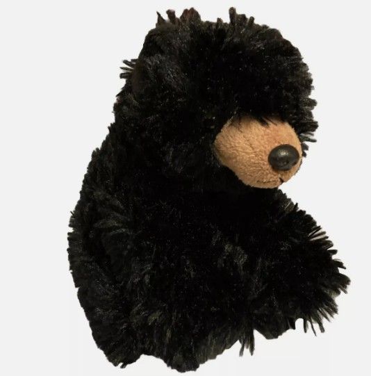 Conservation Critter Black Bear