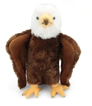 Conservation Critters Bald Eagle