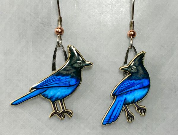 Jabebo - Steller's Jay