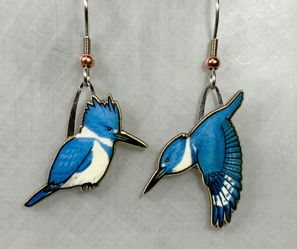 Jabebo - Belted Kingfisher