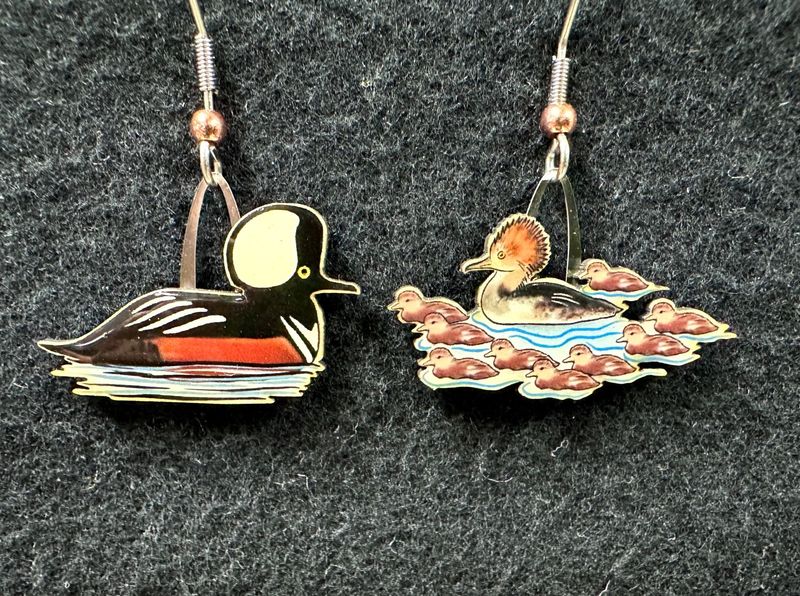 Jabebo - Hooded Merganser