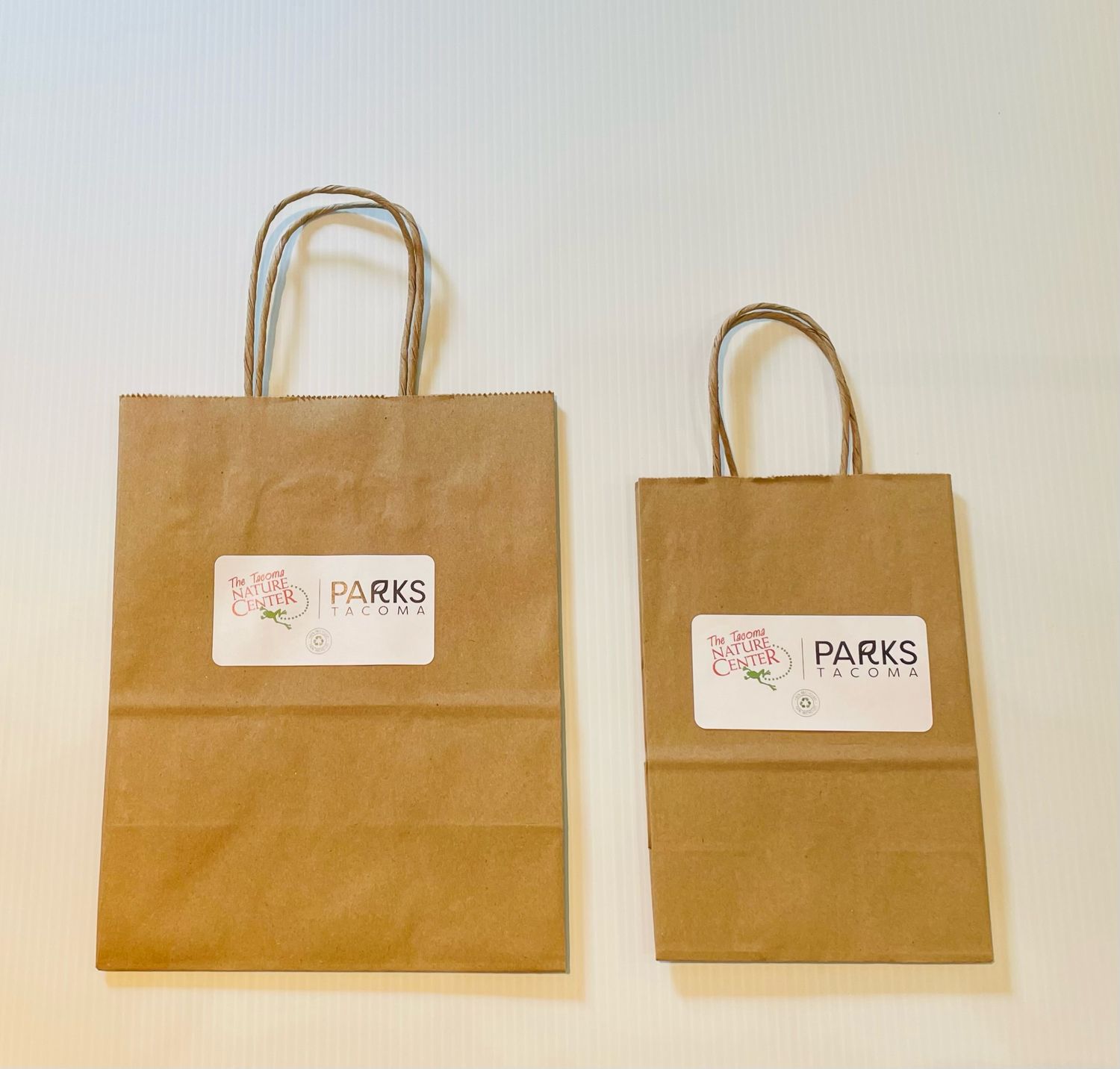 TNC Small/Medium Brown Paper Bag