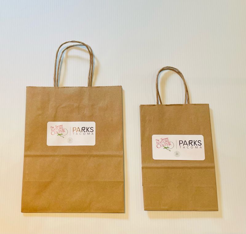 TNC Small/Medium Brown Paper Bag