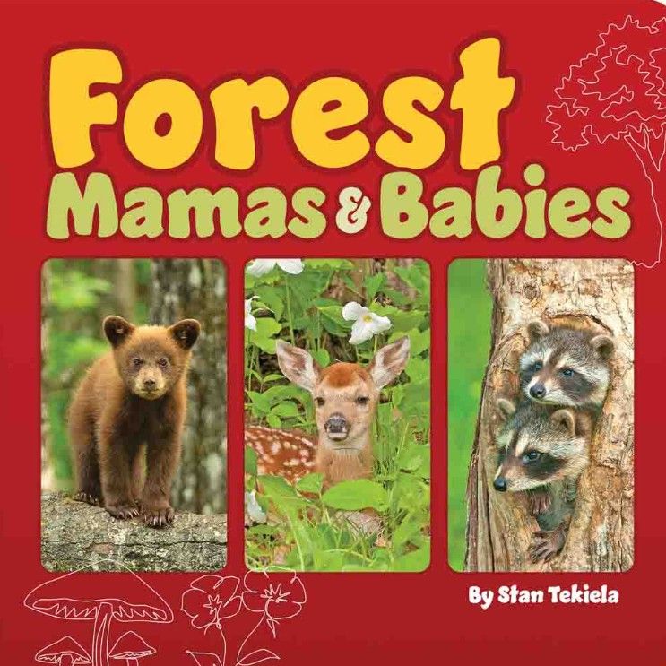 Forest Mamas &amp; Babies by Stan Tekiela