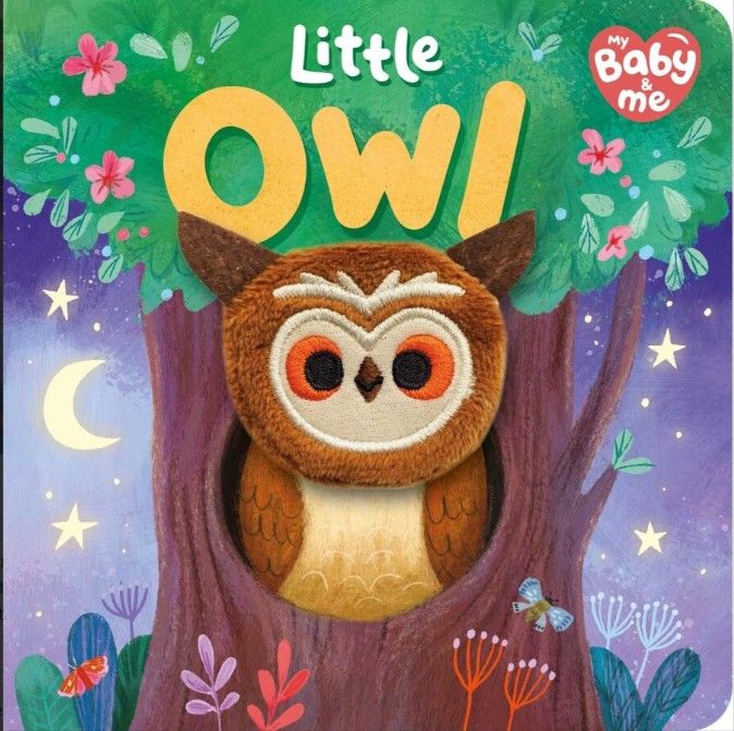 Little Owl Baby Book