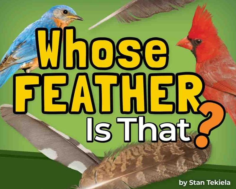 Whose Feather is That? by Stan Tekiela