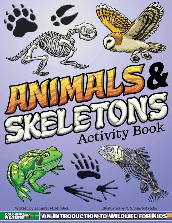Animals and Skeletons Activity Book