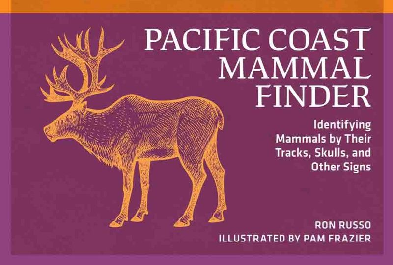 Pacific Coast Mammal Finder
