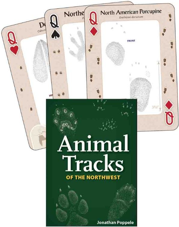 Animal Tracks Playing Cards