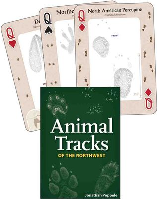 Animal Tracks Playing Cards
