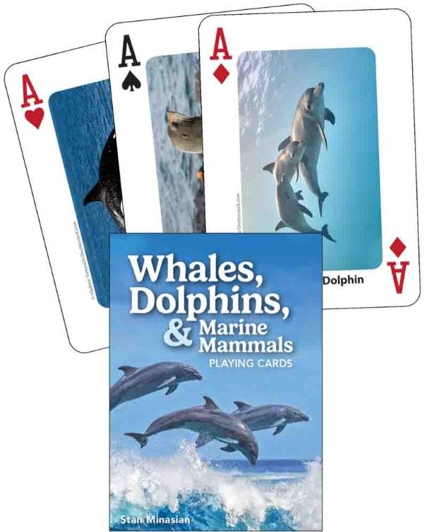 Whales, Dolphins, and Marine Mammals Playing Cards
