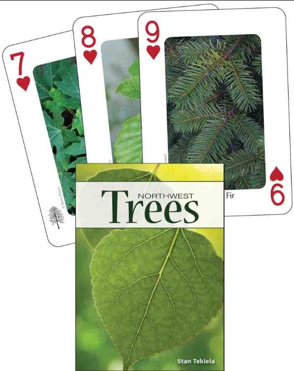 Northwest Trees Playing Cards