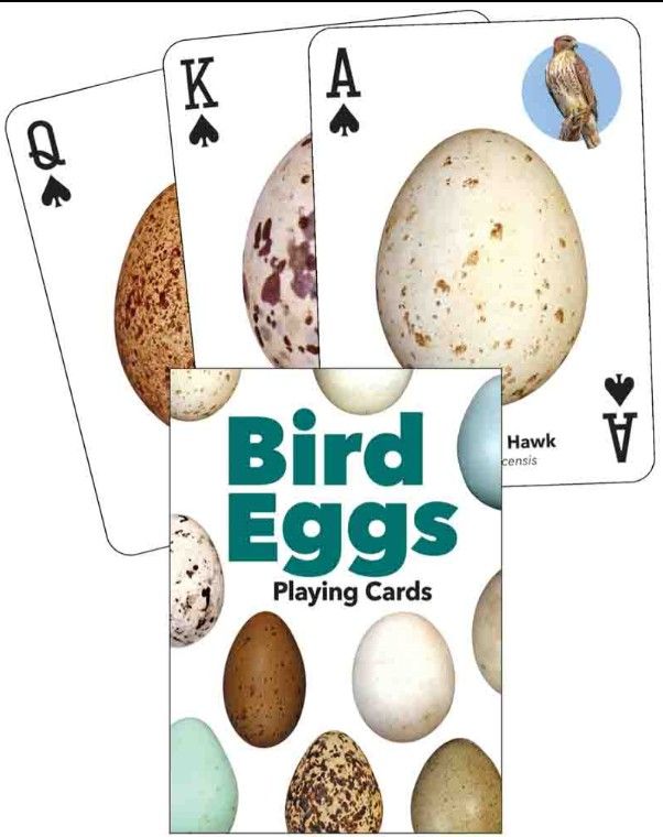 Bird Eggs Playing Cards