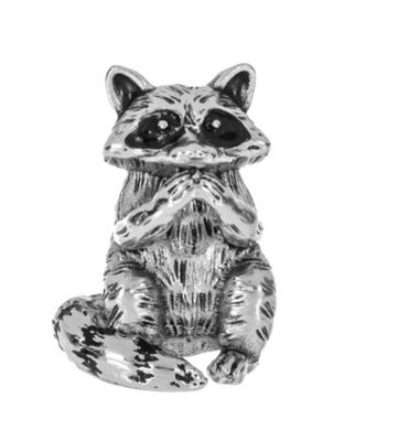 Clever Raccoon Charm