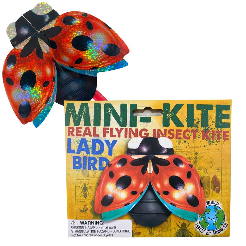 Mini Kite Flying Insect