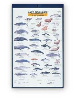 Mac's Field Guide: Marine Mammals of North America