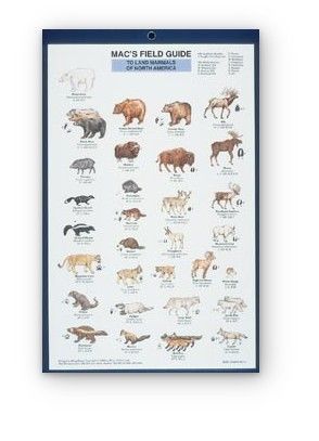 Mac's Field Guide: Land Mammals of North America