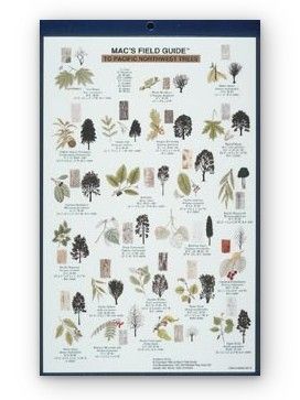 Mac's Field Guide: Pacific Northwest Trees