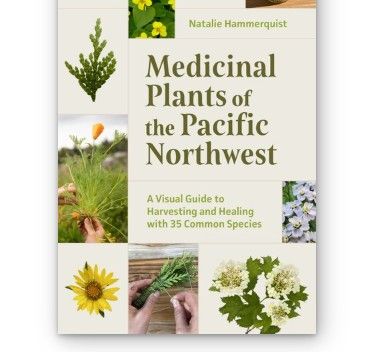 Medicinal Plants of the Pacific Northwest