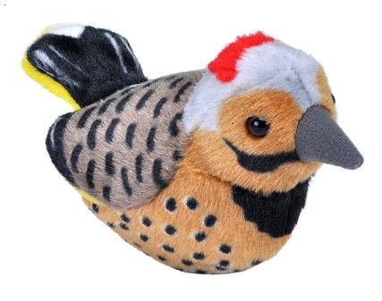 Audubon Birds Northern Flicker