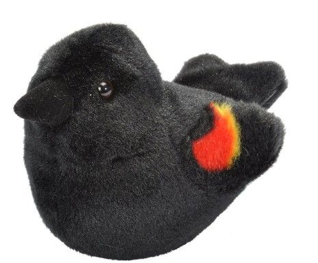 Audubon Bird Red Winged Blackbird