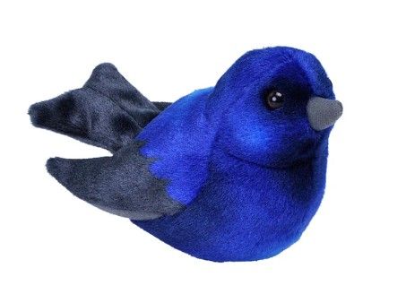 Audubon Bird Purple Martin