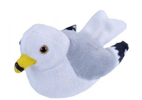 Audubon Bird Ring Bill Gull