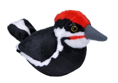 Audubon Bird Pileated Woodpecker