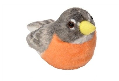 Audubon Bird American Robin