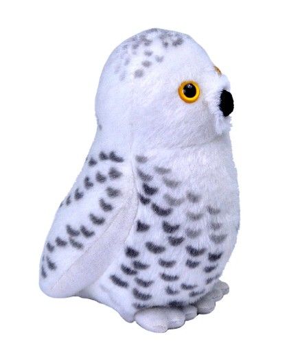 Audubon Bird Snowy Owl