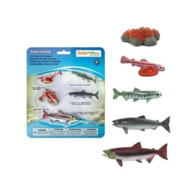 Safari Life Cycles, Style: Salmon