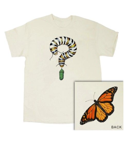 Monarch Metamorphosis