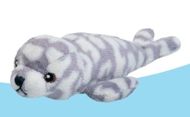 Wild Beans Spotted Seal