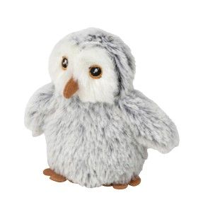 Wild Beans Snowy Owl