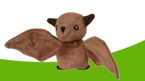 Wild Beans Brown Bat