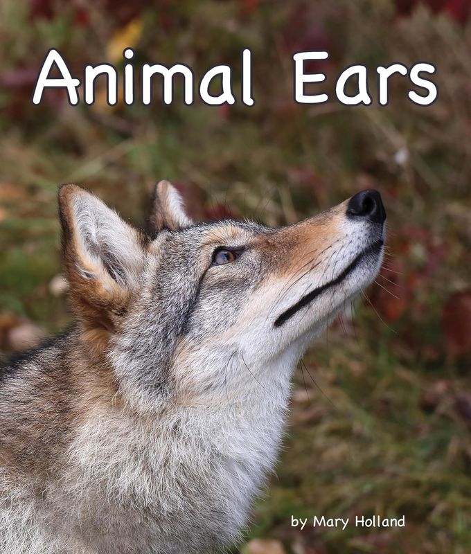 Animal Ears by Mary Holland