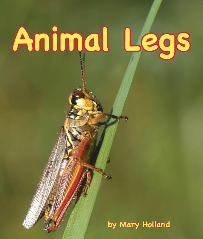 Animal Legs by Mary Holland