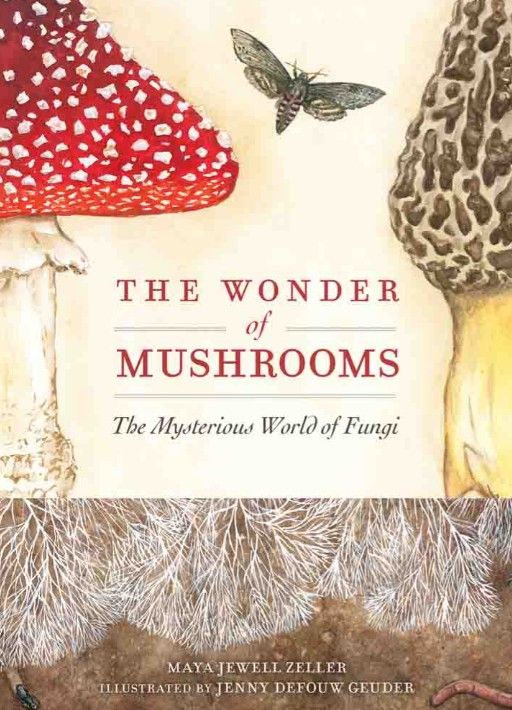 The Wonder of Mushrooms