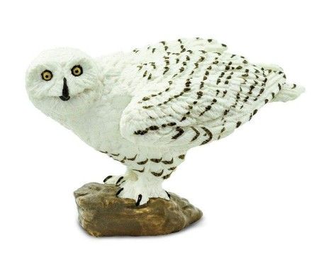 Safari Snowy Owl