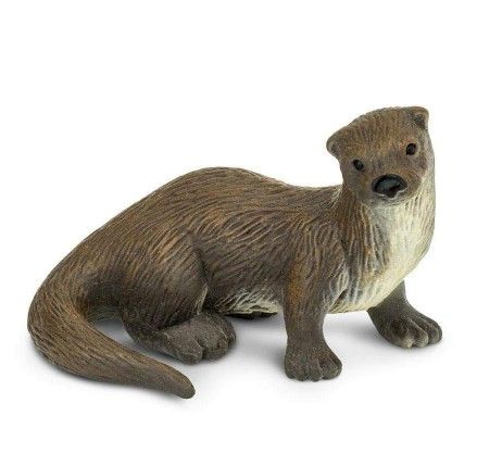 Safari River Otter