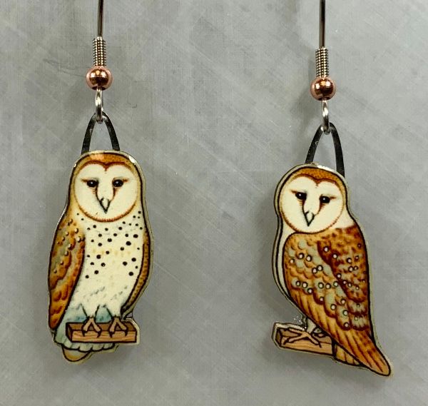 Jabebo - Barn Owl