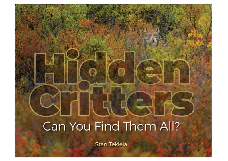 Hidden Critters by Stan Tekiela
