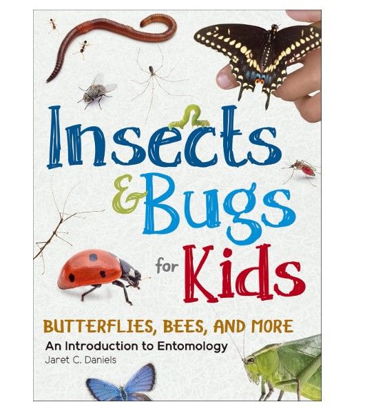 Insects and Bugs for Kids: An Introduction to Entomology