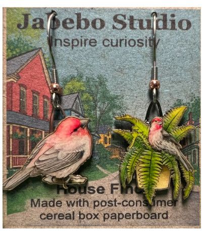 Jabebo - House Finch