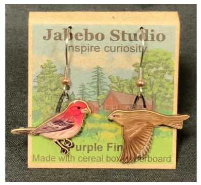 Jabebo - Purple Finch