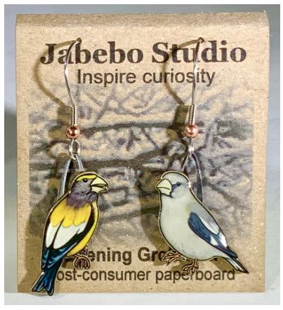 Jabebo - Evening Grossbeak