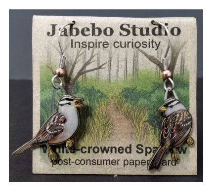 Jabebo - White Crowned Sparrow