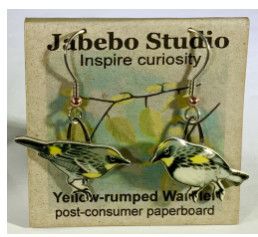 Jabebo - Yellow Rumped Warbler