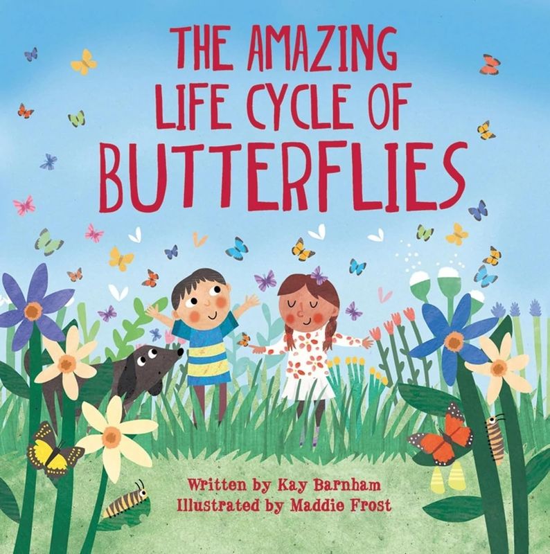 The Amazing Life Cycle of Buterflies
